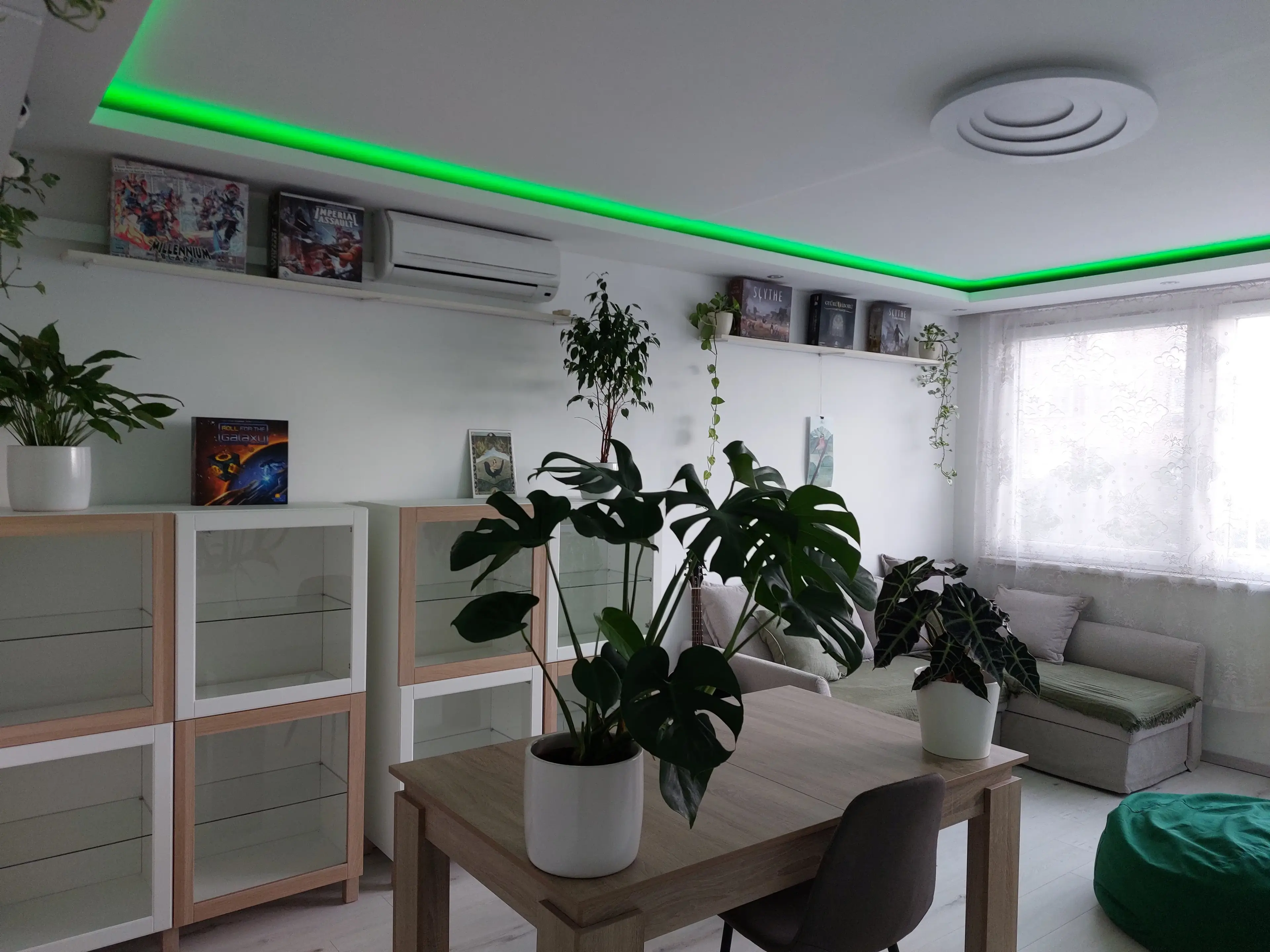 Elől egy hatalmas monstera, körülötte sok másik növény, hátul egy kanapé, polcokon társasjátékok